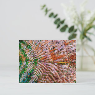 Woodland Ferns Postcard