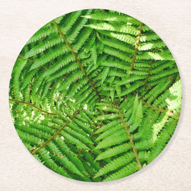 Woodland Ferns Round Paper Coaster (Front)