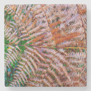 Woodland Ferns Stone Coaster