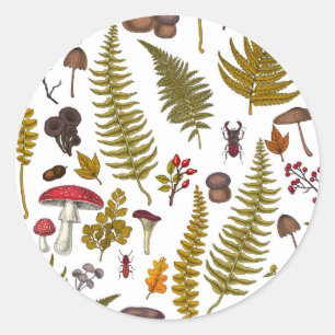 Woodland flora and fauna 2 classic round sticker