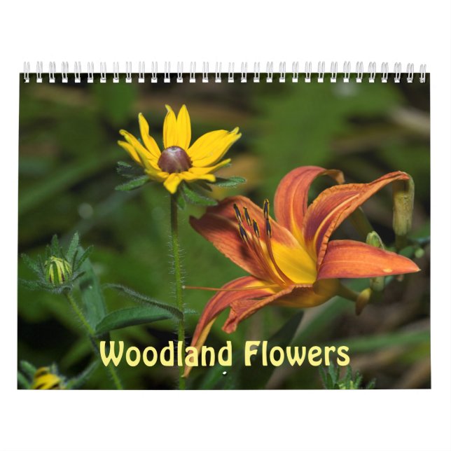 Woodland Flowers Calendar (Cover)