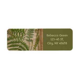 woodland foliage french botanical print fern