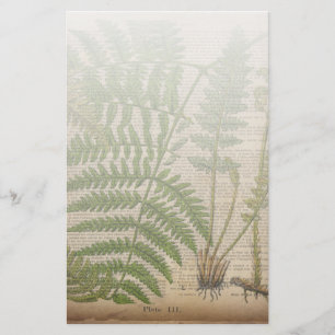 woodland foliage french botanical print fern stationery
