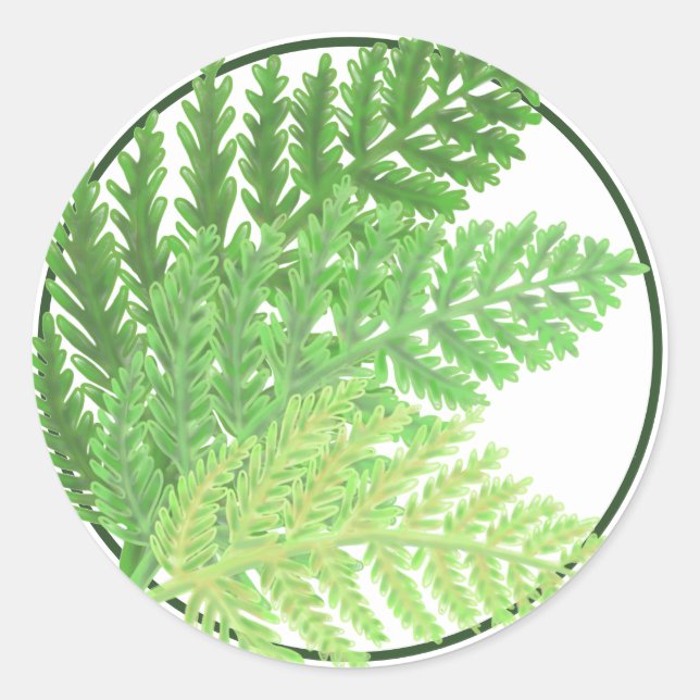 Woodland forest green ferns forest ferns classic round sticker (Front)