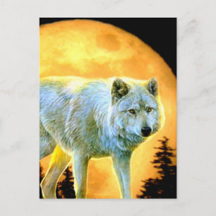 woodland forest moonlight full moon wolf postcard