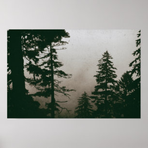 Woodland Forest Pine Tree Vintage Nature Pines Poster