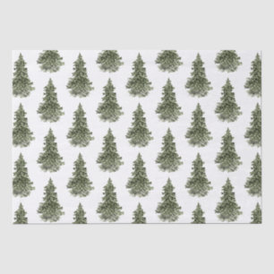 Woodland Forest Spruce Tree Tissue Paper