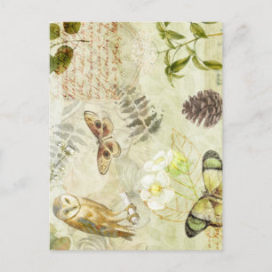 Woodland Forest Wildlife Owl Butterfly Nature Postcard
