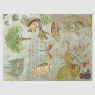 Woodland Forest Wildlife Squirrel, Owl, Decoupage Tissue Paper
