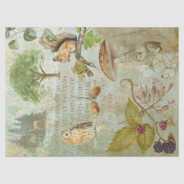 Woodland Forest Wildlife Squirrel, Owl, Decoupage Tissue Paper (Front)