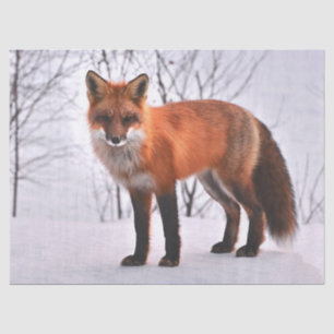 woodland fox tissue paper
