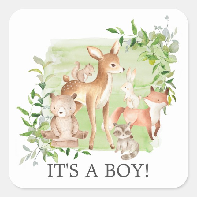 Woodland Friends  It' a Boy Favour Sticker (Front)