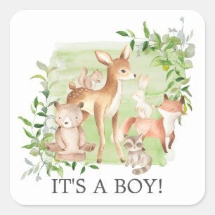 Woodland Friends It's a Boy Favoriser Sticker