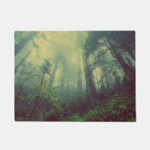 Woodland From Below