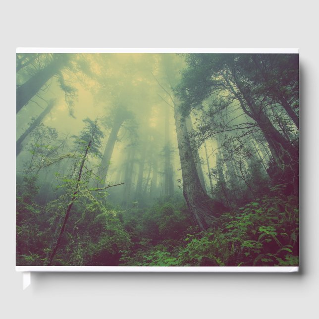 Woodland From Below Guest Book (Front)