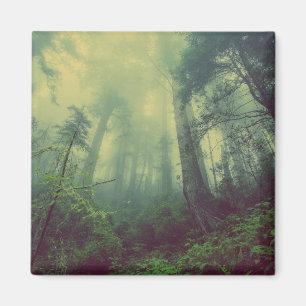 Woodland From Below Magnet