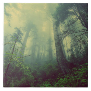 Woodland From Below Tile