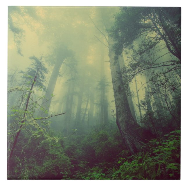 Woodland From Below Tile (Front)