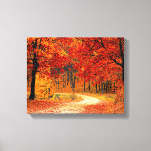 Woodland in Fall Canvas Print