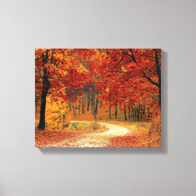 Woodland in Fall Canvas Print (Front)