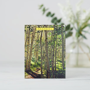 Woodland in the Aspens Holiday Card
