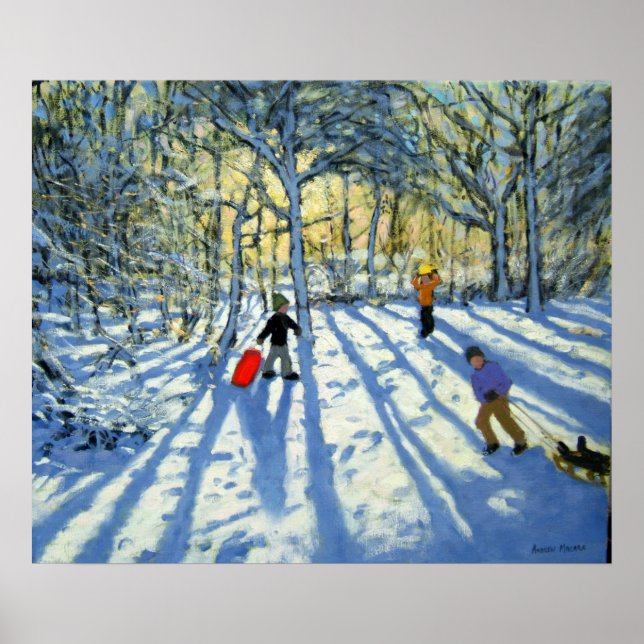Woodland in winter near Ashbourne Derbyshire Poster (Front)