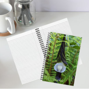 Woodland Jack-in-the-Pulpit Plant Notebook