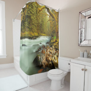 Woodland Landscape with Flowing Stream