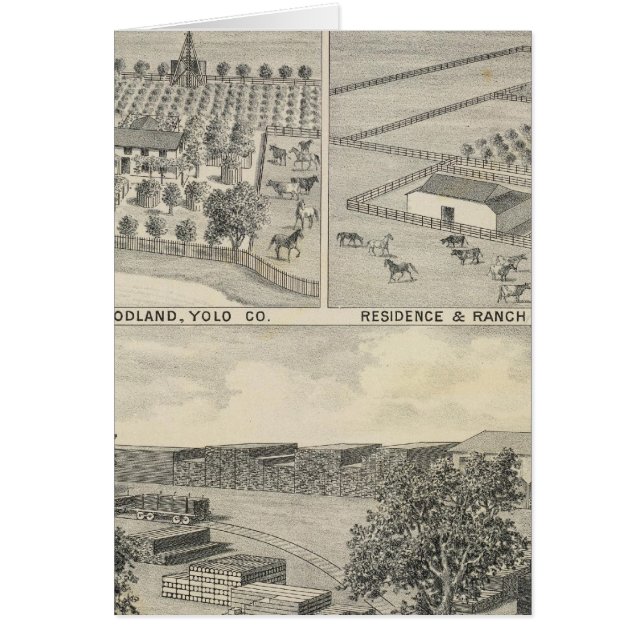 Woodland lumber company (Front)