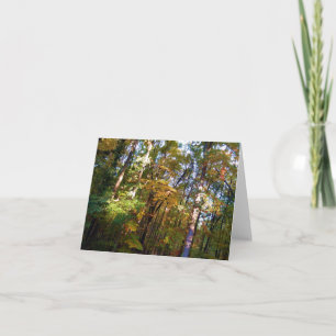 Woodland Note Card Autumn Sunshine