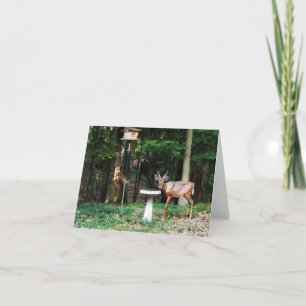 Woodland Note Card Young Buck