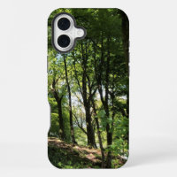 Woodland of Trees Woods Design