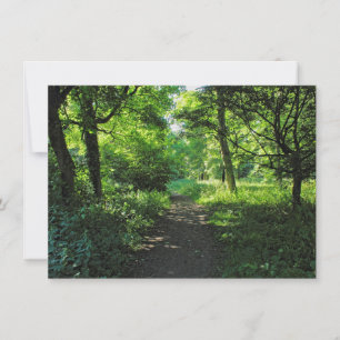 Woodland Path. Blackweir Woods, Cardiff, Wales. Card