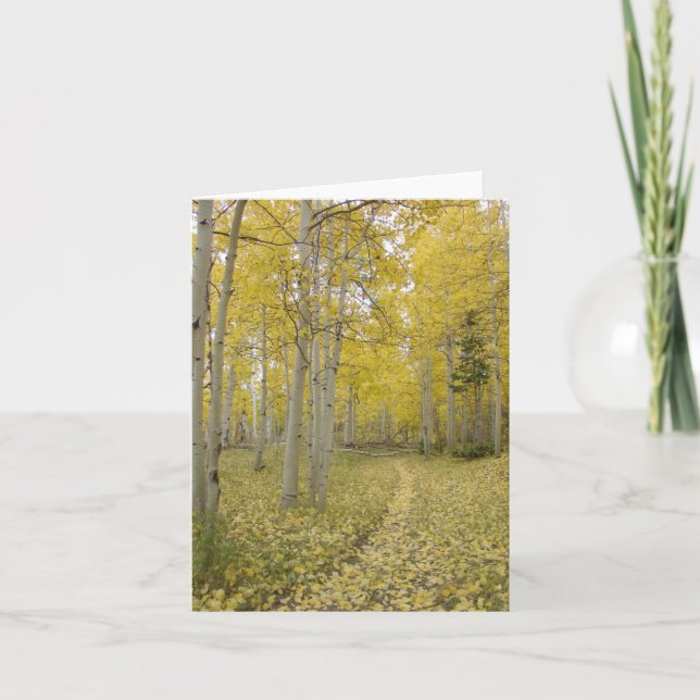 Woodland Path Christian Toutes les occasions Carte (Devant)