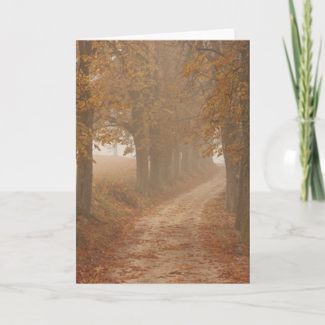 Woodland Path Lined by Autumn Trees Photo Card (Front)