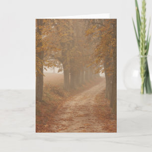 Woodland Path Lined by Autumn Trees Photo Card