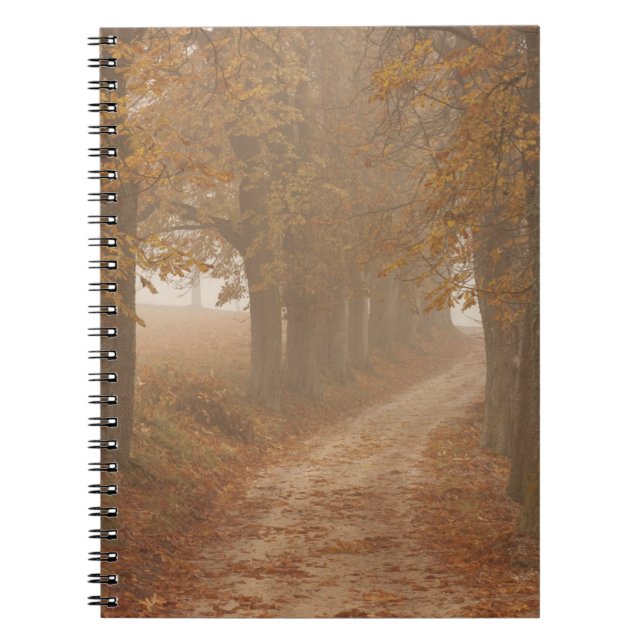 Woodland Path Lined by Autumn Trees Photo Notebook (Front)
