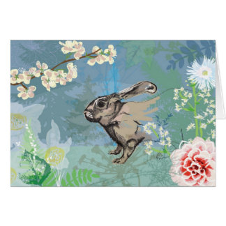 woodland rabbit