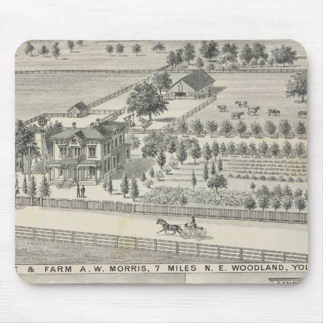 Woodland residences, farms mouse pad (Front)