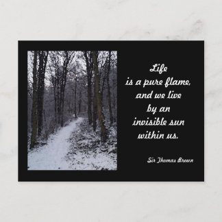Woodland Snow Scene Postcard