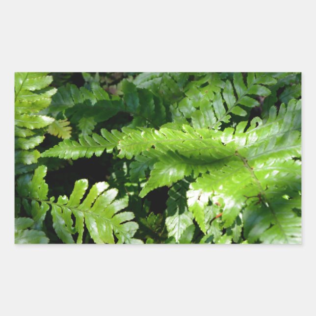 Woodland Spring Green Ferns Sticker (Front)