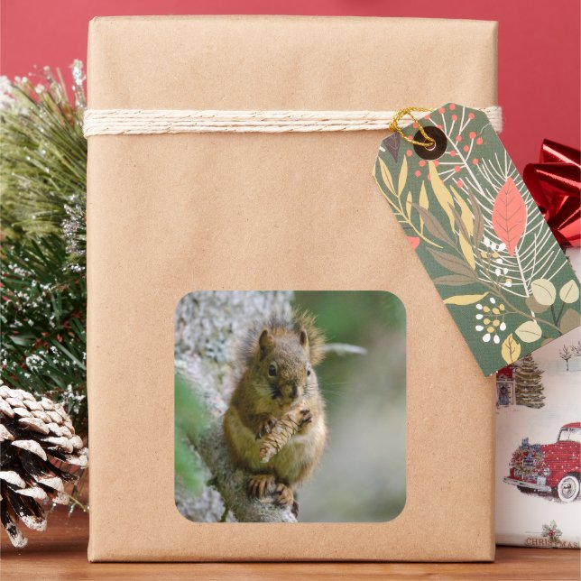 Woodland Squirrel on Branch Square Sticker (Holiday)