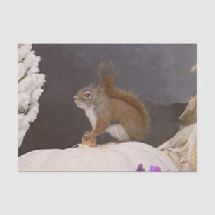 Woodland Squirrel Sitting On Pumpkin Tissue Paper