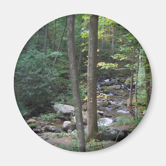 Woodland Stream Magnet (Front)