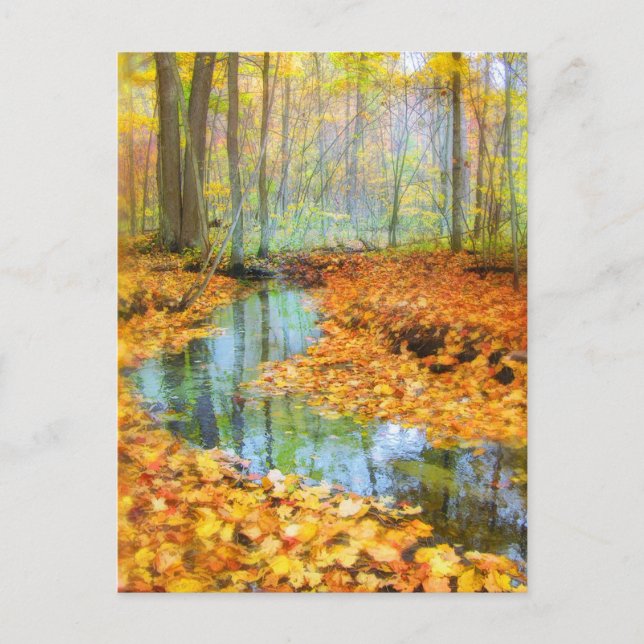 Woodland stream, postcards (Front)