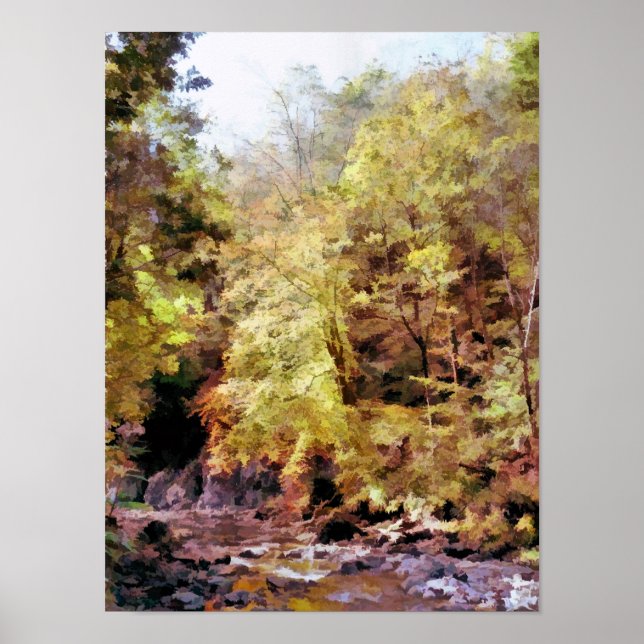 WOODLAND STREAM POSTER (Front)