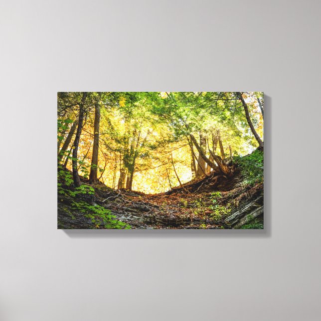 Woodland Sunset Nature Green Yellow Canvas Print (Front)