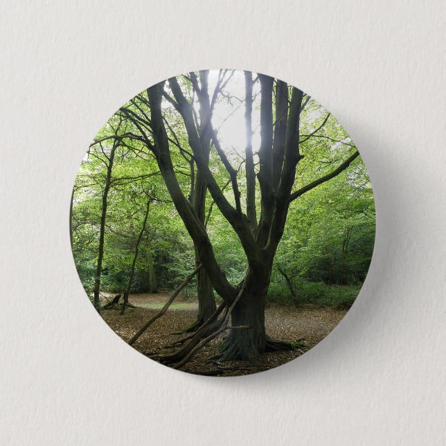 Woodland Sunshine Button (Front)