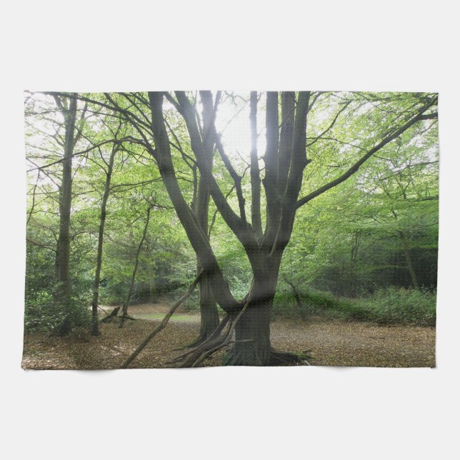 Woodland Sunshine Kitchen Towel (Horizontal)