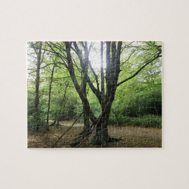 Woodland Sunshine Puzzle (Horizontal)